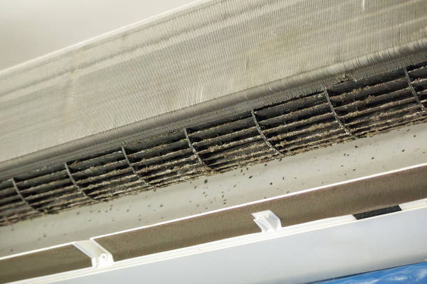 Best Air Duct Cleaning Near Me  in Shadyside, OH